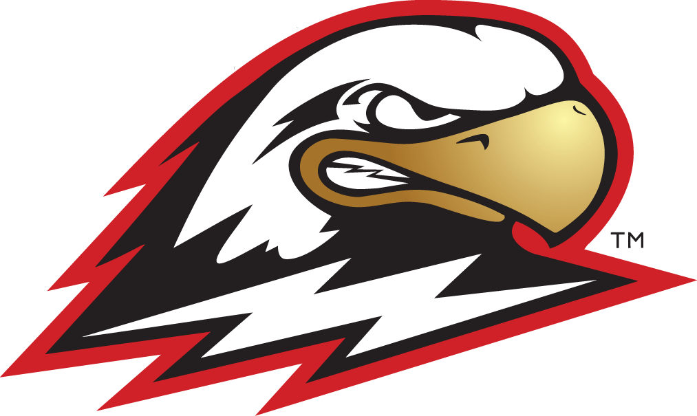 Southern Utah Thunderbirds 2002-Pres Secondary Logo DIY iron on transfer (heat transfer)